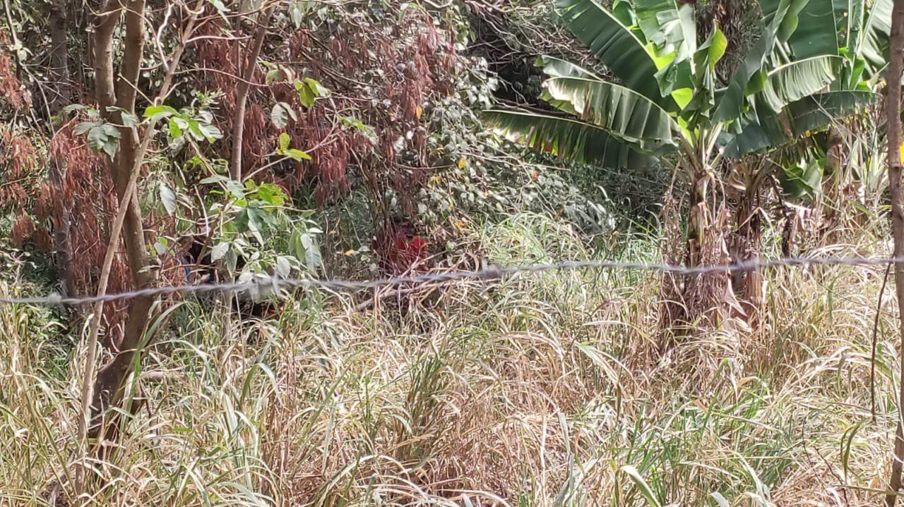 Foto 2 de 4 — Corpo em decomposição é encontrado em mata de Araraquara